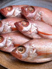 のどぐろの干物