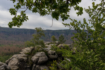 Säsische Schweiz, Elbsandsteingebirge