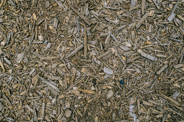Weicher Waldboden mit kleineren, unsortierten Holzstücken