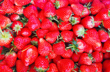 Strawberry background, organic fresh fruit 