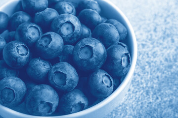 Fresh ripe and juicy blueberries in white bowl. Copy space. Macro photo