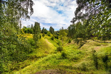 Fototapeta na wymiar View of the ravine overgrown with grass and trees in the forest in summer