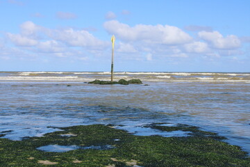 Beach pole 