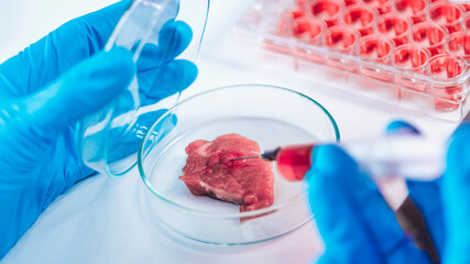 Scientist Injecting Red Substance with Syringe into Meat Sample in Petri Dish - obrazy, fototapety, plakaty