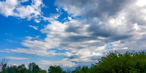 Clouds in the blue sky and tree tops