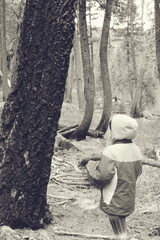 Black and white, girl looking at tree at Rock Creek Montana