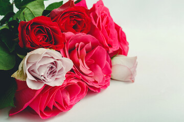 Pink red roses. Bouquet of colorful roses on white background with copy space, place for your text. Rose petals closeup. Beautiful festive bouquet of fresh flowers as gift. Top view