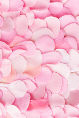 Fototapeta premium Pink rose petals pattern
