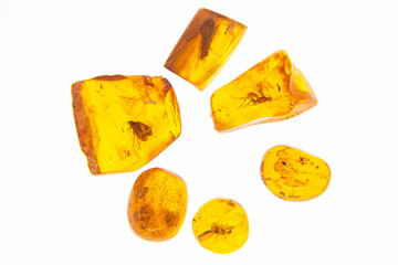 Beautiful group of big pieces of amber with insects inside exhibited in Palanga Amber Museum in Lithuania, close up with white background