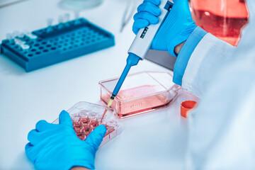 Biotechnology Researcher in Laboratory Working with Cell Culture - obrazy, fototapety, plakaty