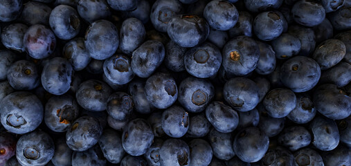 Fresh natural blueberries close-up top view. Freshly picked blueberries.