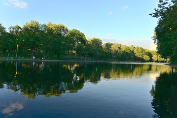 Fototapeta premium reflections of trees and clouds on lake water, La Fontaine Park, Montreal, QC, Canada