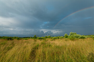August field with heavy dark clouds after the rain. Horizontal image. 