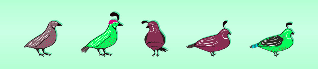 a set of quail vector illustration