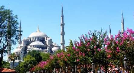 Fototapeta na wymiar The blue mosque in Istanbul, Turkey