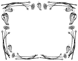 Herbal Plants, Illustration of Hand Drawn Sketch Delicious Fresh Bell Pepper or Sweet Pepper with Garlic Chives or Allium Tuberosum, Used for Seasoning in Cooking.
