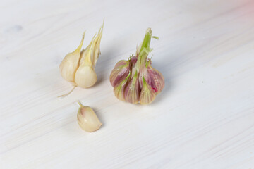 Fresh young garlic bulbs on whitw wooden background close up
