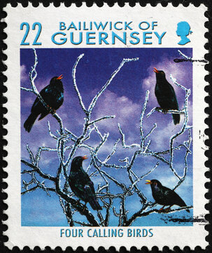 Christmas Four Calling Birds On Stamp Of Guernsey