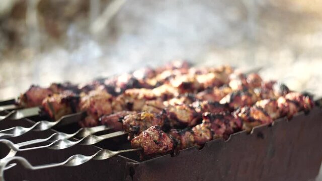 Close-up of grilling tasty dish on barbecue. Process of cooking yummy shashlik in nature. Delicious food on metal skewer in bbq. Time to picnic concept. Street food. Food festival. Pork at the stake