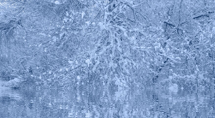Closeup of snow-covered tree branch beside the lake with foreground