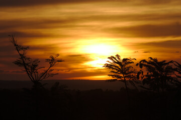 Brazilian Sunset
Very beautiful, the sunsets in brazilian savannah has many colors.