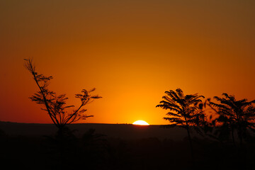 Obraz premium Brazilian Sunset Very beautiful, the sunsets in brazilian savannah has many colors.