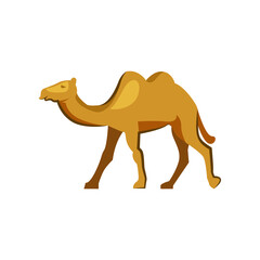 Humped camel in desert. Walking wild camel. Can be used for topics like zoo, farm, mammal