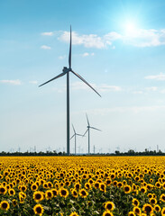Wind farm in Europe