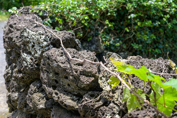 It is a traditional stone wall of Jeju Island in Korea