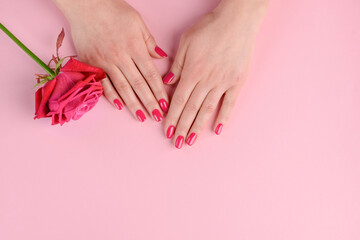 Obraz na płótnie Canvas Elegant and glamorous pink nails. Woman's well-groomed hands and rosebud