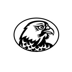 Obraz premium Head of Peregrine Falcon or the Duck Hawk Side Mascot Black and White