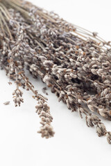 Plant leaves and seeds on white ground