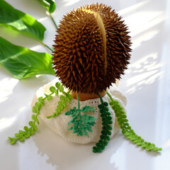 amazing food flower pot from a durian fruit with green leaf in morning sunlight