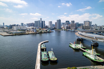 Fototapeta premium 東京 お台場