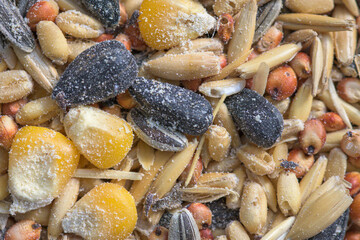 Produced ruined by a weevil infestation