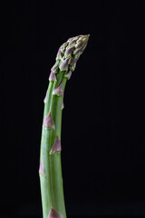 Fresh organic green asparagus  isolated on black background. closeup shot