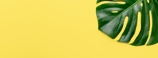 Tropical leaf Monstera on yellow background. Horizontal banner, mock up