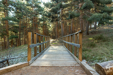 pedestrian bridge with wooden railings