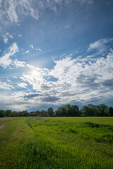 Obraz premium Sonne und Wolken Pegnitzgrund