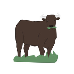 Bull Illustration