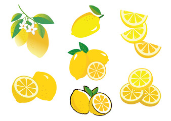 レモン　果物　イラスト　セット