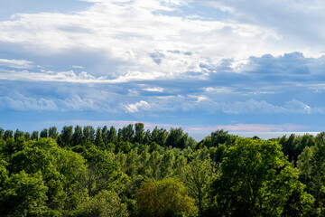 Fototapeta na wymiar Storm clouds over forest on island of Gotland in Sweden