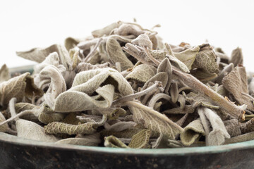 Sage dried on white ground