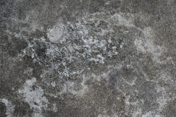 Concrete background texture