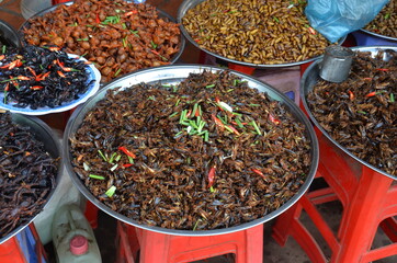 Deep Fried Asian insects, scorpions, spiders and worms