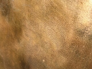 Copper texture background. Bronze or orange texture