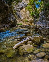 Calm river in the Greek forests