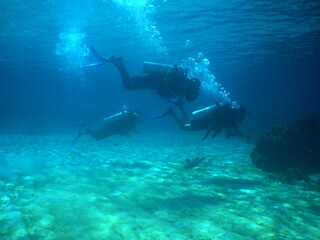 underwater snorkel scuba diver caribbean sea Venezuela