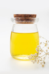 Olive oil in a bottle on a white background