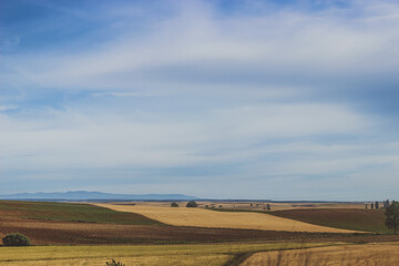 rural landscape with road.
landscape with field and blue sky. geometry on the field